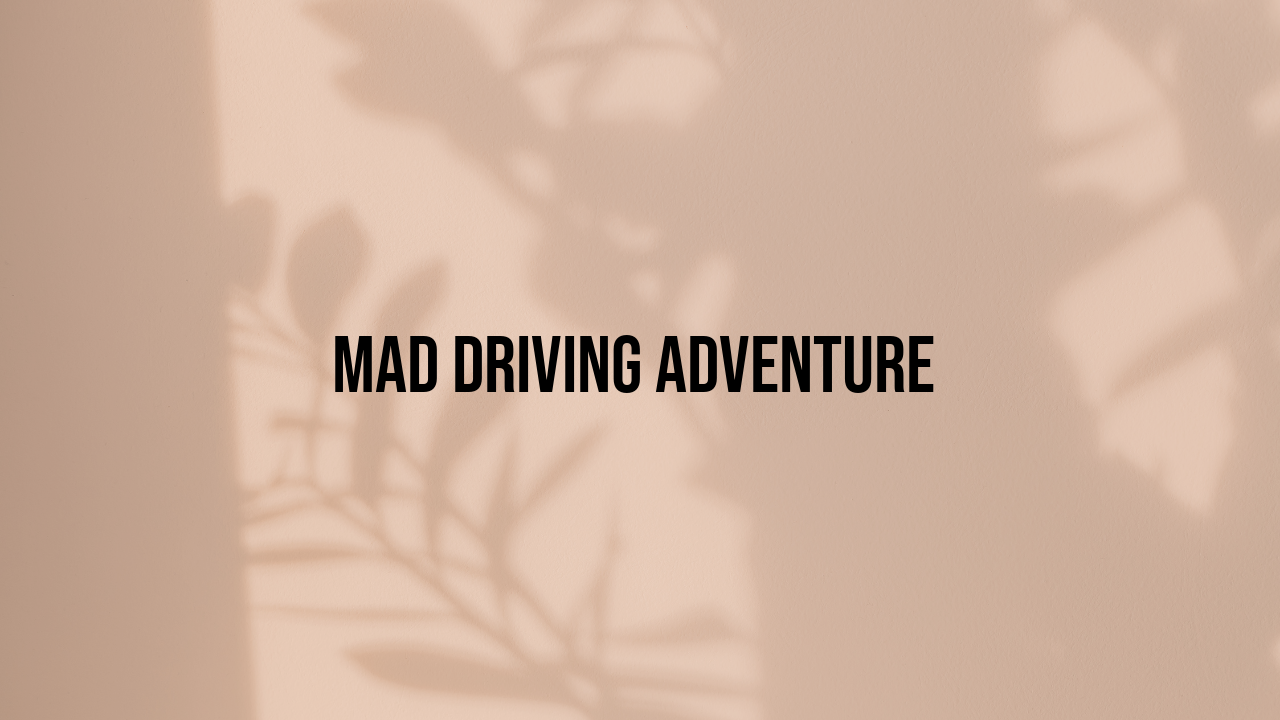 Mad Driving Adventure