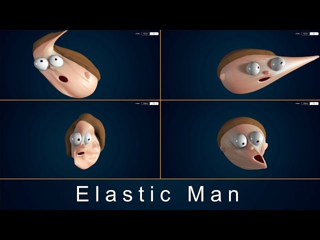 Elastic Face