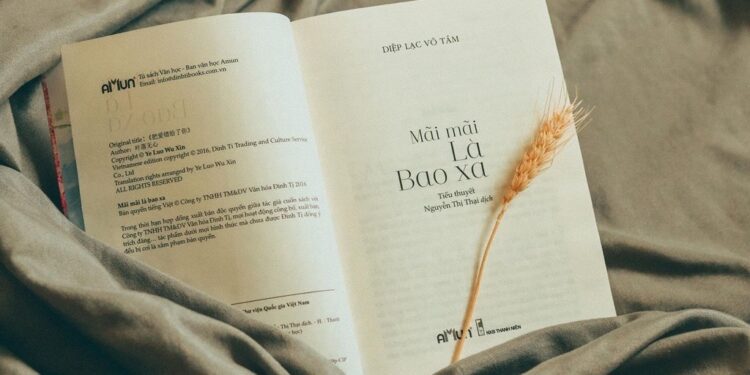 Những bộ tiểu thuyết ngôn tình hay nhất mọi thời đại